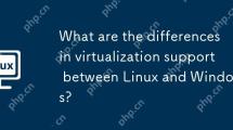 What are the differences in virtualization support between Linux and Windows?