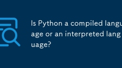 Ist Python eine kompilierte Sprache oder eine interpretierte Sprache?