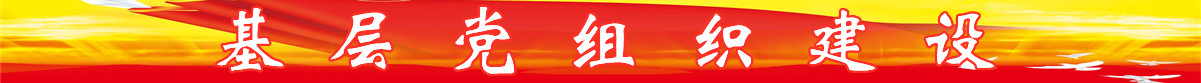 基层党组织建设动��?