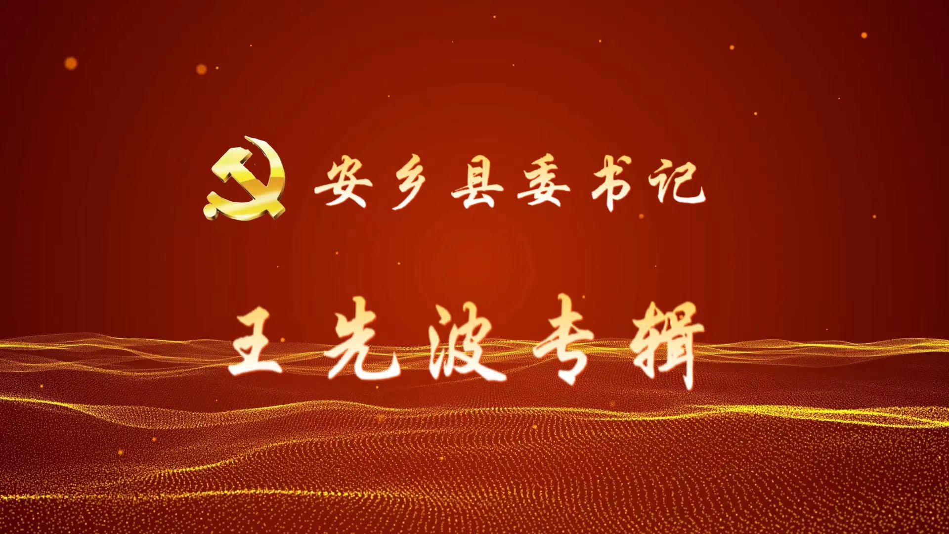 安乡县委书记王先波活动报道集