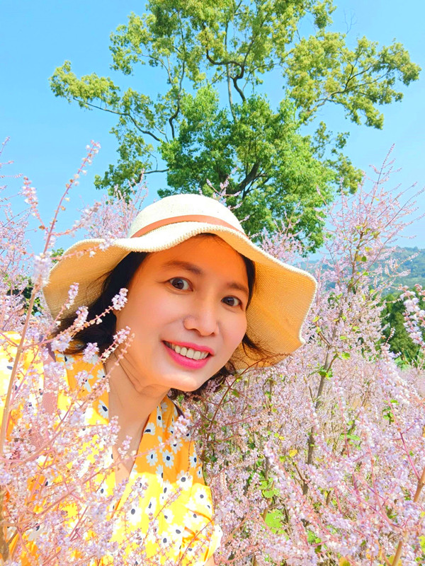 南投賞花景點|中寮粉紅山丘麝香木秘境,6000坪瑰蜜甜心玫瑰園 瑰蜜甜心玫瑰園