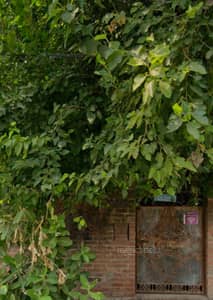 Commercial Land for Rent in Yashoda Nagar Commercial Land for Rent in Yashoda Nagar