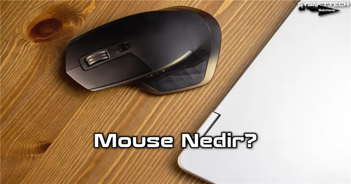 Mouse (Fare) Nedir, Ne İşe Yarar? | Tanımı, Türleri ve Özellikleri