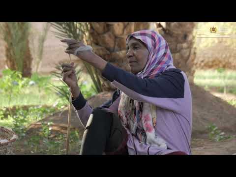 مهارات نسج الحايك و السلهام بفكيك