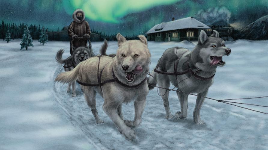 "Balto & Togo": Klirrende Kälte, starke Tiere: So hat sich die Illustratorin Lena Zeise das dramatische Hundeschlittenrennen vorgestellt und für ihr Kindersachbuch gemalt.