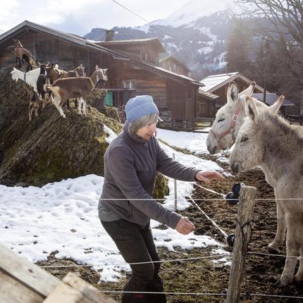 Tourismus in den Bergen: Monika Ponti fotografiert bei ihrem Hof "Uf em Melk" etwas außerhalb von Wengen