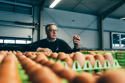 Bundesverband Ei: Hans-Peter Goldnick, Präsident des Bundesverbands Ei am 24.03.2025 auf dem Hornbrooker Hof. ++++++++++<br /> Ortstermin zum Thema „Deutsche Eier für Trump?“ war ich am Freitag auf dem Hornbrooker Hof zum Gespräch mit Hans-Peter Goldnick, Präsident des Bundesverbands Ei. 24.03.2025