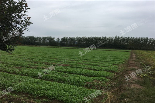 2016年阿克苏地区耕地地力保护补贴政策实施方案