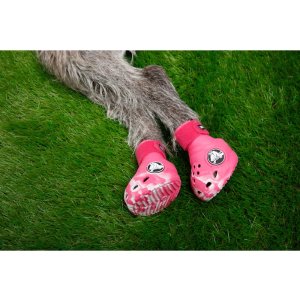 Crocs狗狗鞋子