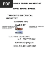 PDF Document