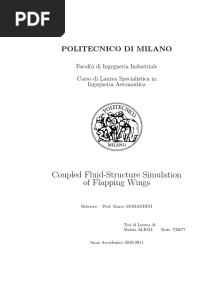Fenics Flutter Thesis
