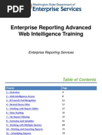 Web Intelligence Advanced