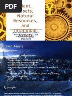 Plant, Assets, Natural Resources and Intangible Assets