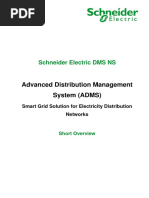 Schneider Electric DMS NS