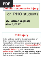 Cellular Response To Injury