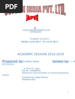PDF Document