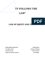 Equity Follows The Law Project