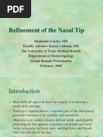 Nasal Tip Pic 2000 02m