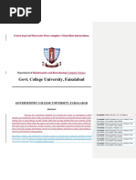 PDF Document