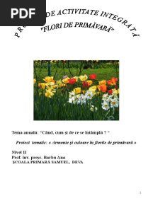 Proiect de Activitate Integrata Flori de Primavara