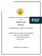 Company Law Project