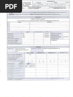 Inst Vortex PDF