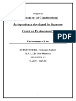 Environment Jurisprudence