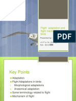 Flight Adaptation and Flight Mechanism in Birds: Presented By:-Manish Kumar