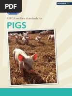 RSPCA Welfare Standards For Pigs (PDF 5.72MB)