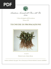 Tecniche Propagazione