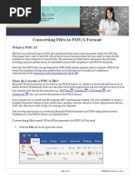 PDF Document