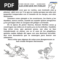 LAS AVES QUE NO VUELAN Lectura