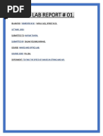 PDF Document