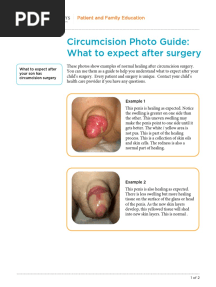 Circumcision Photo Guide: What To Expect After Surgery: Patient and Family Education