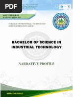 Narrative Profile Sample Template