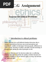 B.E.C.G Assignment: Sources of Ethical Problems