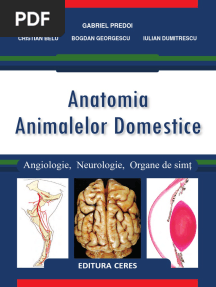 Anatomia Animalelor Domestice 