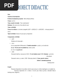 Proiect Didactic Grupa Mica