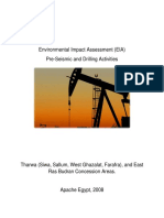 Apache Egypt 2008 EIA Pre-Seismic and Drilling Activities