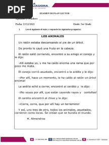Examen de Plan Lector