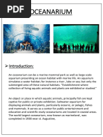 Oceanarium: Introduction