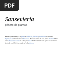 Sansevieria - Wikipedia, La Enciclopedia Libre