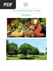 Philippine Fruit Trees Production Guide