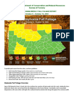 DCNR Fall Foliage Report Oct. 6, 2022