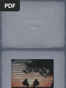 Prietenia Proiect