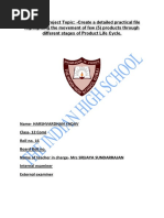 PDF Document