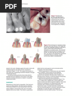 Endodontics Principles and Practice (139 279)