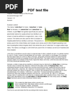 PDF Document