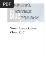 PDF Document