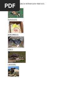 Animale Ce Se Înmulțesc Prin Ouă